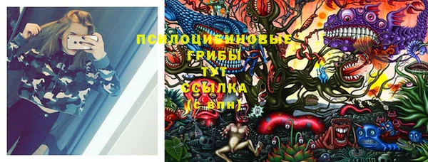mix Дмитров