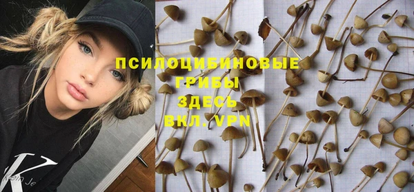 MESCALINE Дмитриев