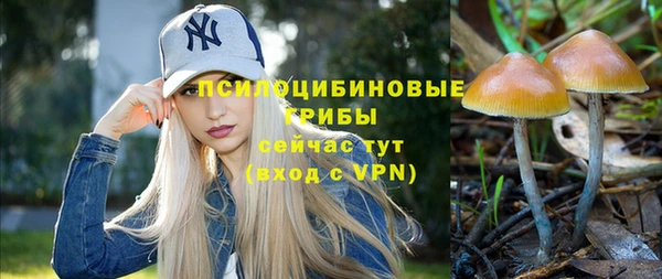 MESCALINE Дмитриев