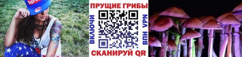 Купить где  Ирбит  Псилоцибиновые грибы Magic Shrooms 